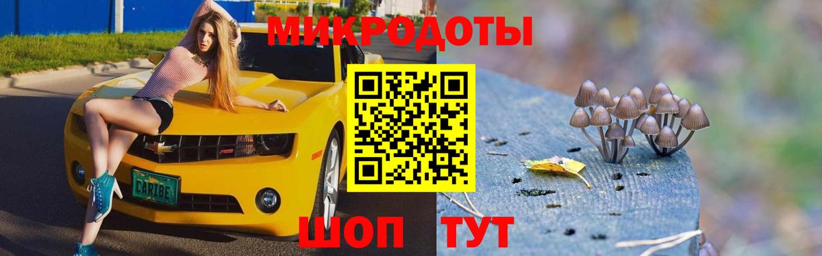 Кандалакша  Галлюциногенные грибы Cubensis  Вход с VPN 